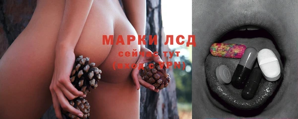 кокс Арсеньев