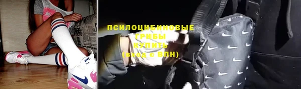 ПСИЛОЦИБИНОВЫЕ ГРИБЫ Балабаново