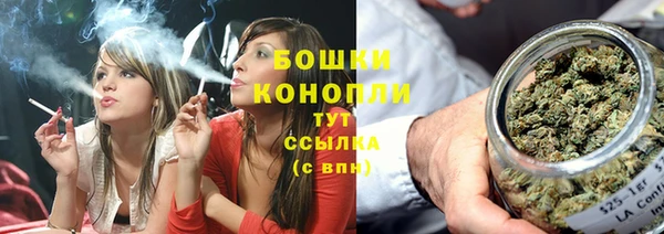 ПСИЛОЦИБИНОВЫЕ ГРИБЫ Балабаново