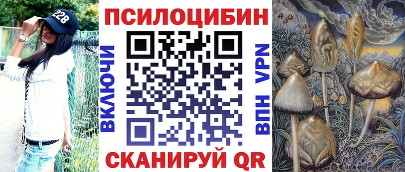 hydra ссылки  Жиздра  Псилоцибиновые грибы мухоморы 
